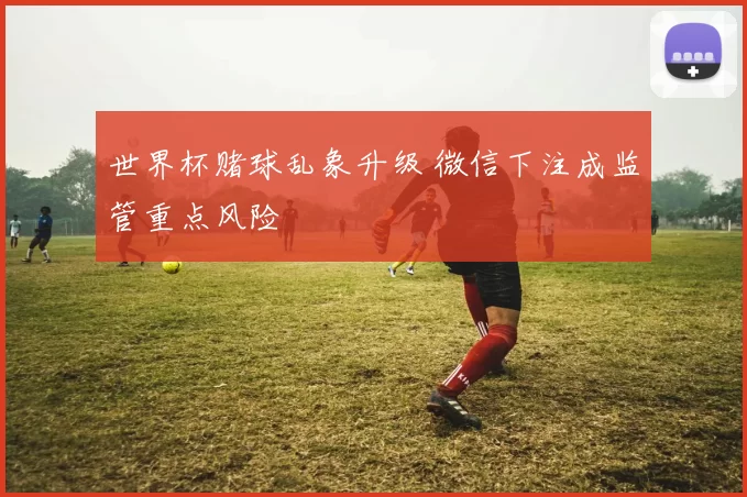 世界杯赌球乱象升级 微信下注成监管重点风险