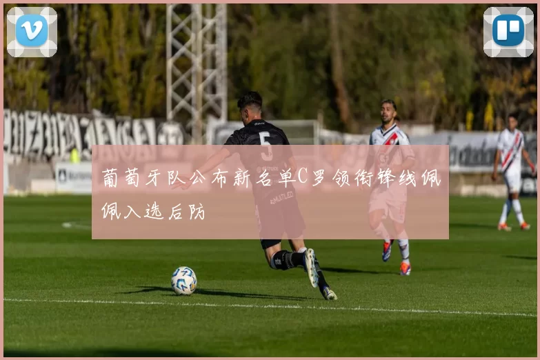 葡萄牙队公布新名单C罗领衔锋线佩佩入选后防