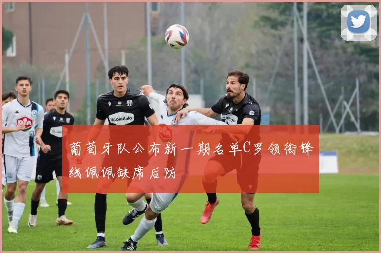 葡萄牙队公布新一期名单C罗领衔锋线佩佩缺席后防