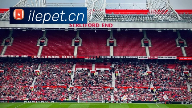 欧宝官方版网站 - 欧宝online(中国)平台生态图